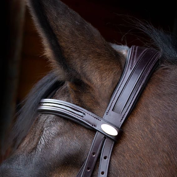 Uzdečka Kentaur Savannah a.k.n.