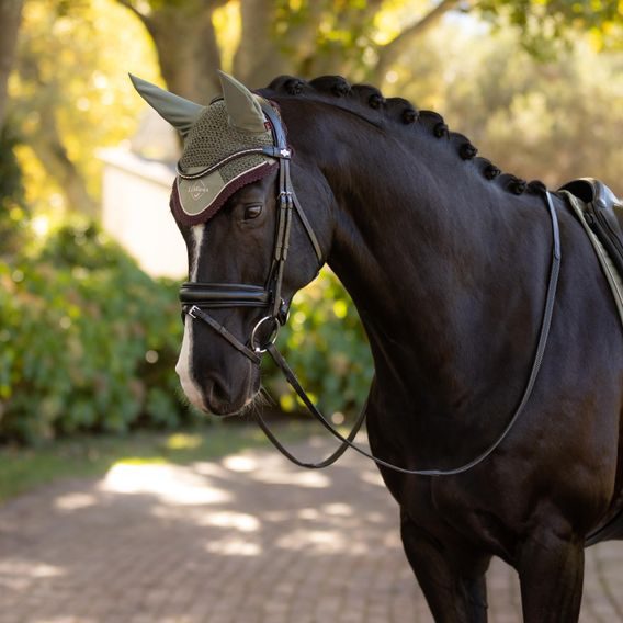Čabraka na uši LeMieux Classic Rosemary Kolekce 2025/26