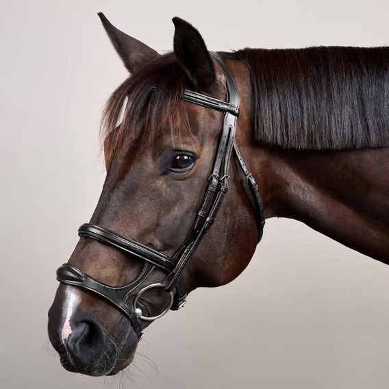 Uzdečka Dy'on Double Noseband Bridle NEAAAH