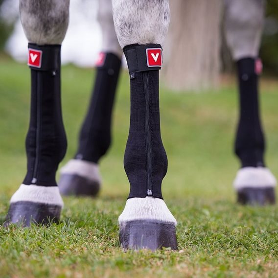 Bandáž Vetoflex Classic Standard zadní