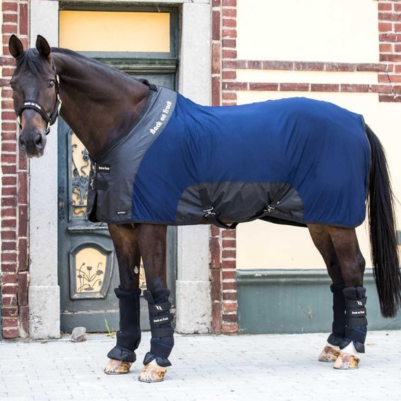 Deka Back on Track Royal Mesh Deluxe 2214