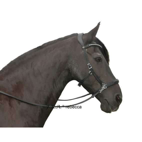 Bezudidlová uzdečka F.R.A. Rebecca DOPRODEJ