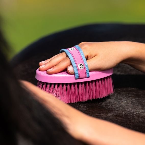 Kartáč QHP Body Rosalynn Kolekce 2026