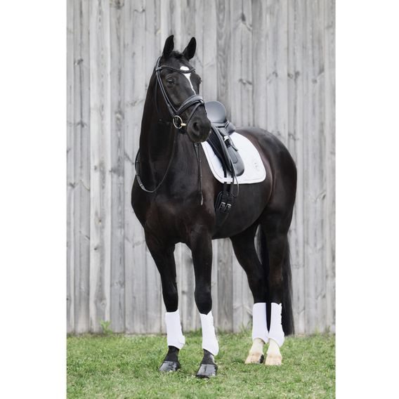 Kamaše Eskadron Platinum Pro Dressage přední Kolekce 2024/25