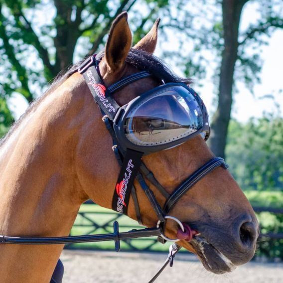 Ochrana očí Equick eVysor