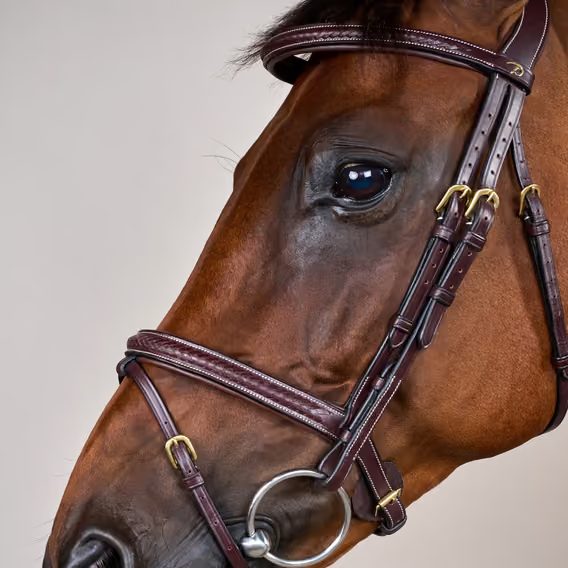 Uzdečka Dy'on Plaited Flash Noseband DYAOAK