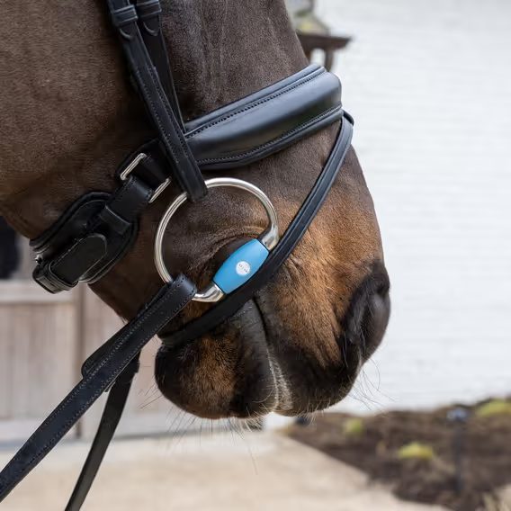 Oliva nelomená Velari by Kentucky Flex 20mm Medium