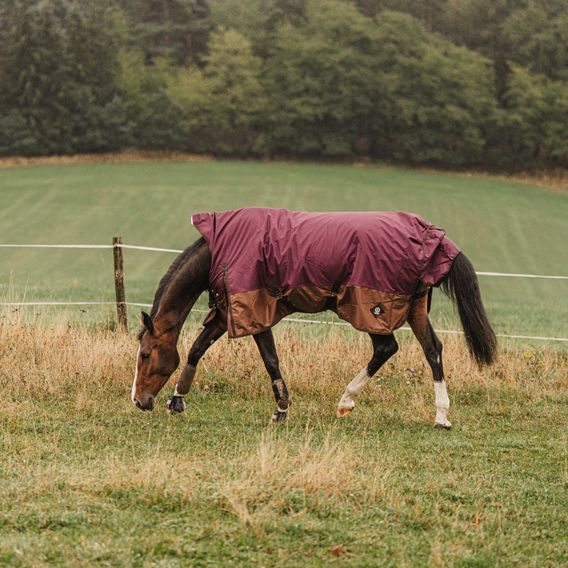 Deka výběhová Imperial PROFI *EQS* High Neck Fleece