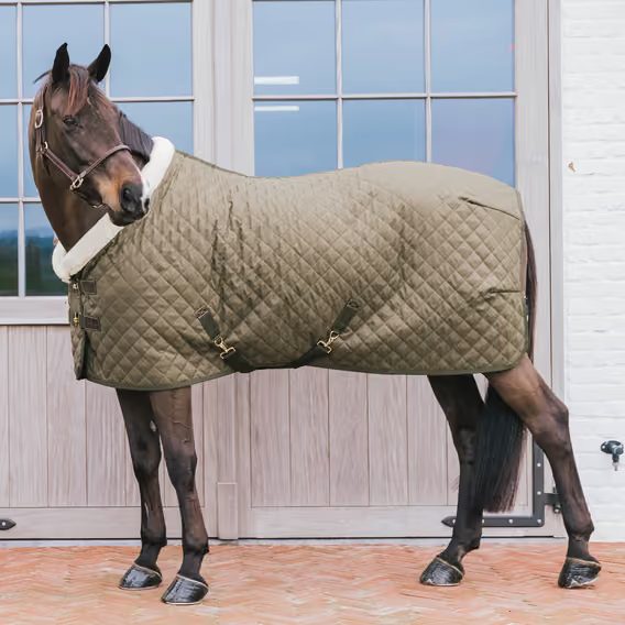 Deka termo Kentucky Show Rug stájová 160g