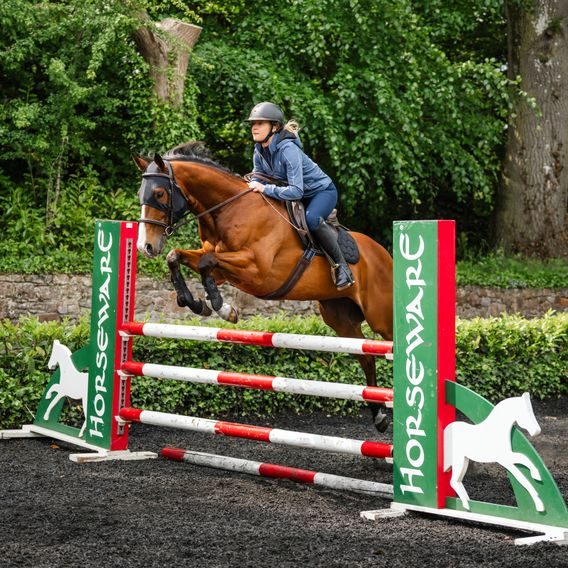 Maska na hlavu Horseware Ionic Calming