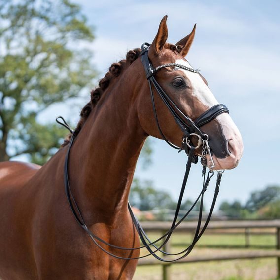 Uzda HKM Kate DOPRODEJ