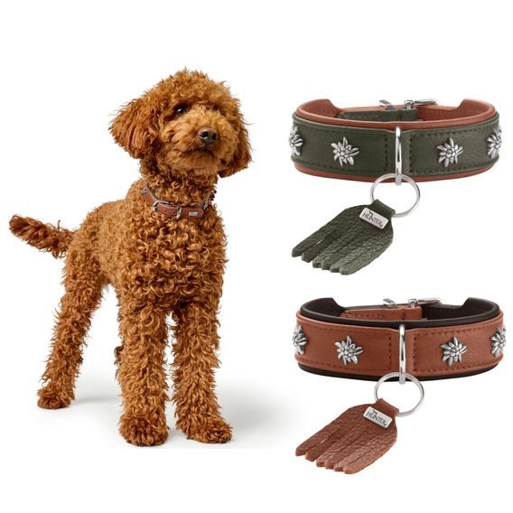 Obojek Hunter Munchen kožený KOLEKCE