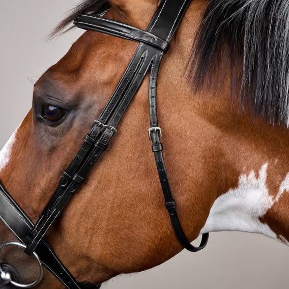 Uzdečka Dy'on Wide Noseband Hunter USKDAL