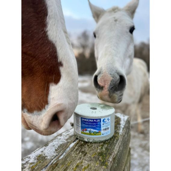 Minerální liz pro koně z mořské soli se spirulinou 3kg