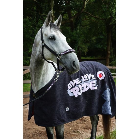 Deka odpocovací Equest Pummel Dralon Live Love Ride Kolekce 2024/25