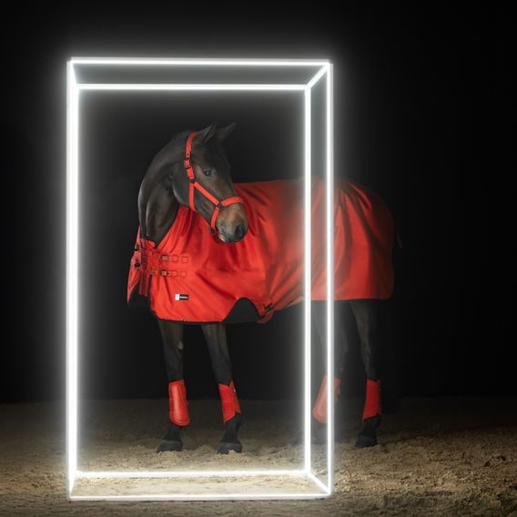 Deka výběhová Eskadron Dynamic Beta 50g Kolekce 2025/26