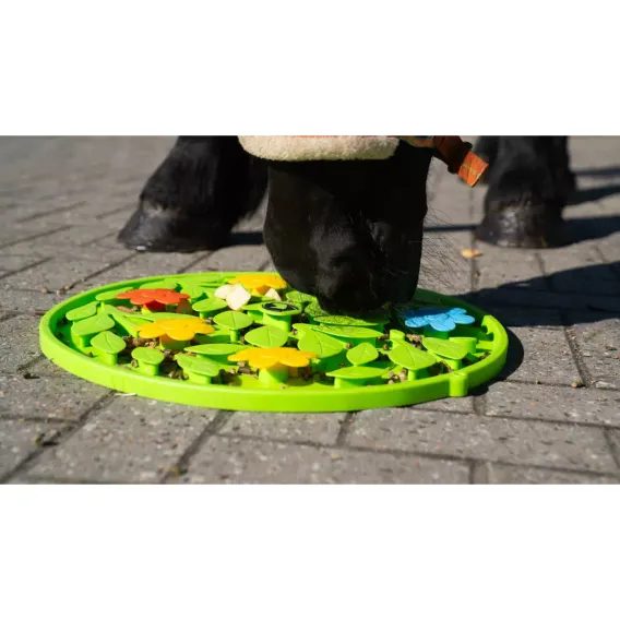 Lízací podložka pro koně Excellent Horse Flower Power