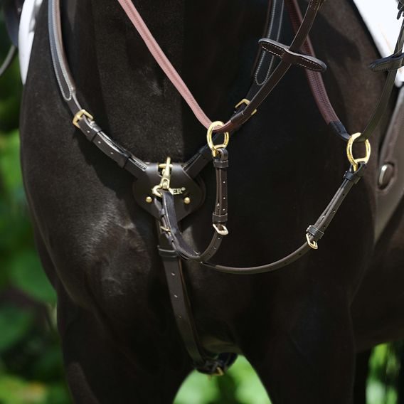 Poprsník Passier Marcus Ehning prošívaný