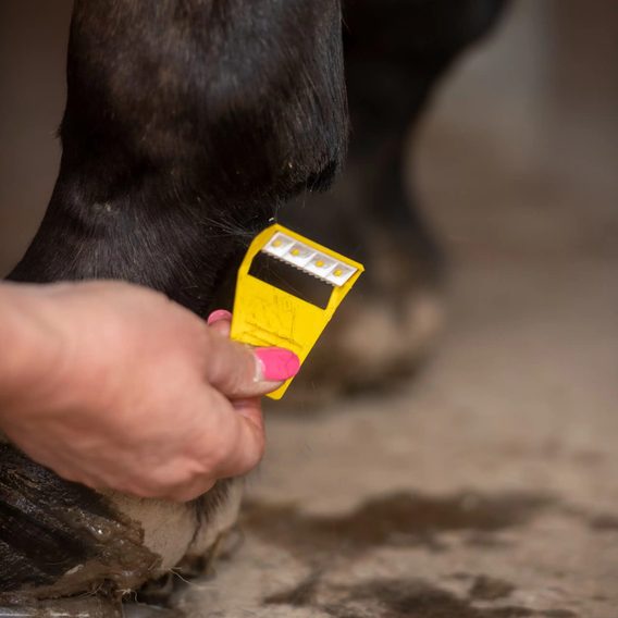 Zastřihovač chloupků Horse Athlere Smar Grooming Equi-Shave