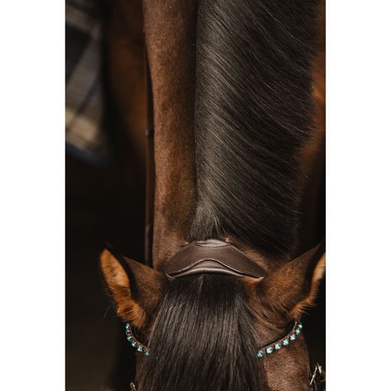 Uzdečka Cassini Stone s otěžemi švéd. nán.