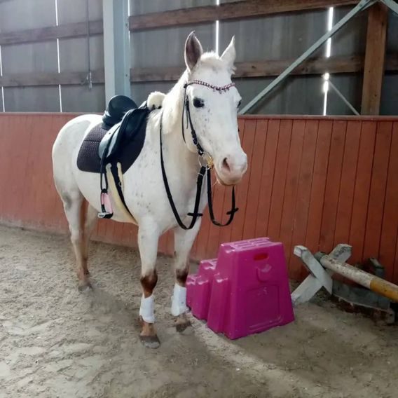 Mobilní plastové schůdky ROTO Mounting Step