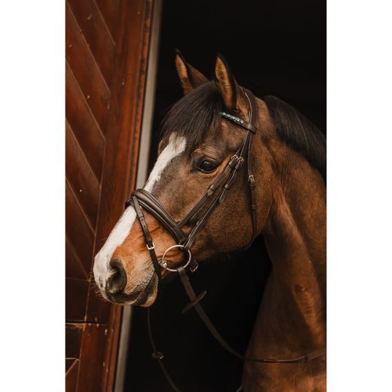 Uzdečka Cassini Stone s otěžemi švéd. nán.