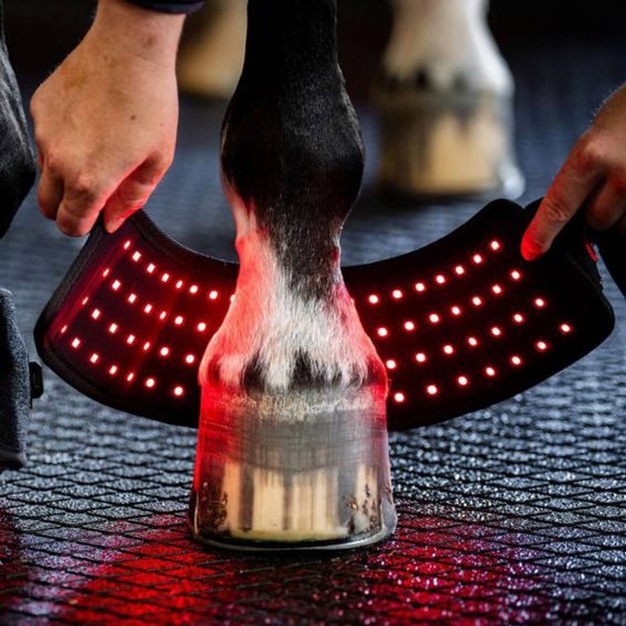 Zvony Horseware® LED Red Light Therapy Mini Wrap 1ks