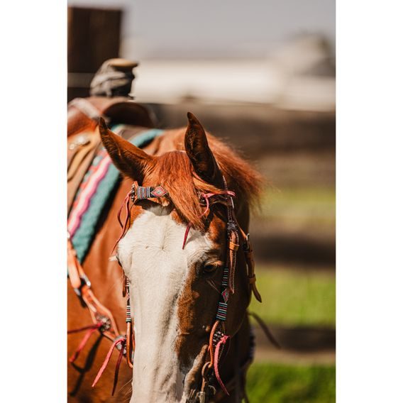 *W* Uzdečka a poprsník Cassini Beads