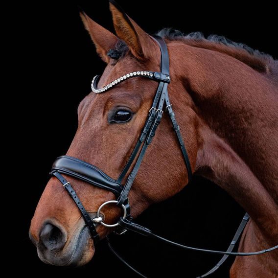 Uzdečka Schockemöhle Siena švédský nánosník DOPRODEJ