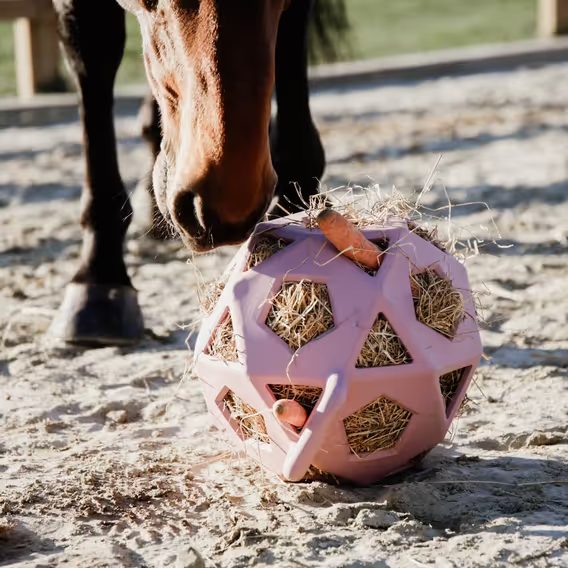 Míč na hraní/krmení Kentucky Relax Horse