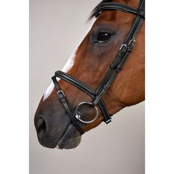 Uzdečka Dy'on Flash Noseband With Snap Hook WOJBHA