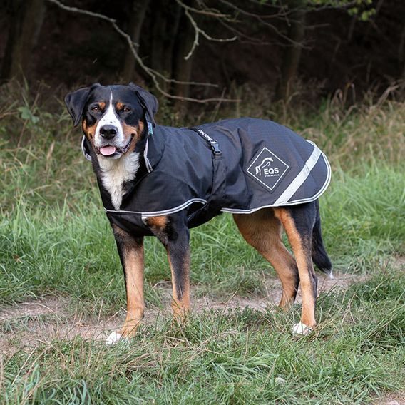 Deka na psa Bucas Freedom zateplená 300g