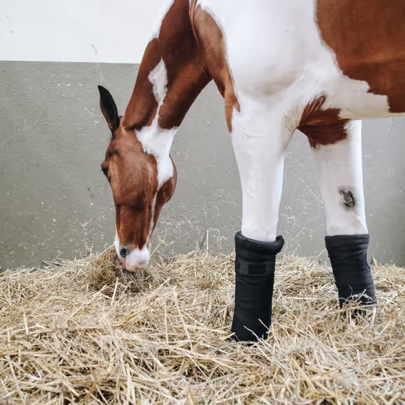 Stájové bandáže Kentucky Repellent