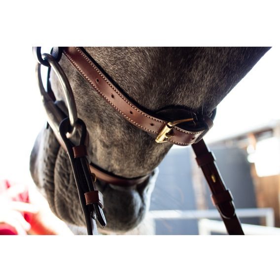 Uzdečka Kentaur Nashville a.k.n.