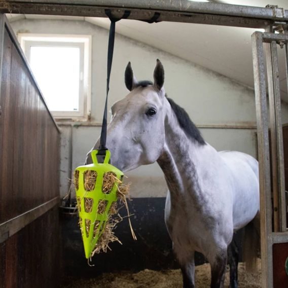 Slow Feeder Fun&Flex Carrot 22cm