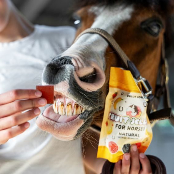 Pamlsky Candy Horse Jellies by Jelly Horse 300g