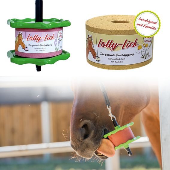 Koňské lízátko Lolly Lick 750g