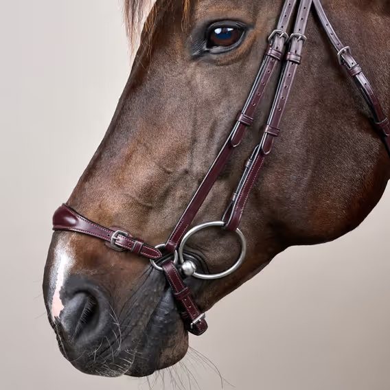Uzdečka Dy'on Adjustable Drop Noseband NEAAAE