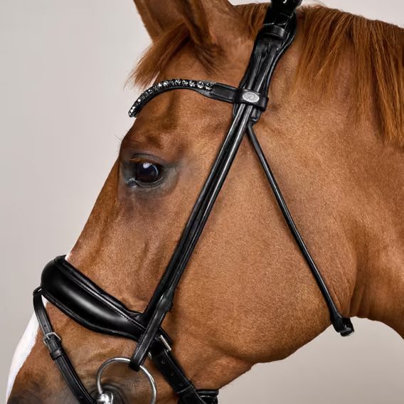 Uzdečka Dy'on ComfoHead Bridle WOIHHS