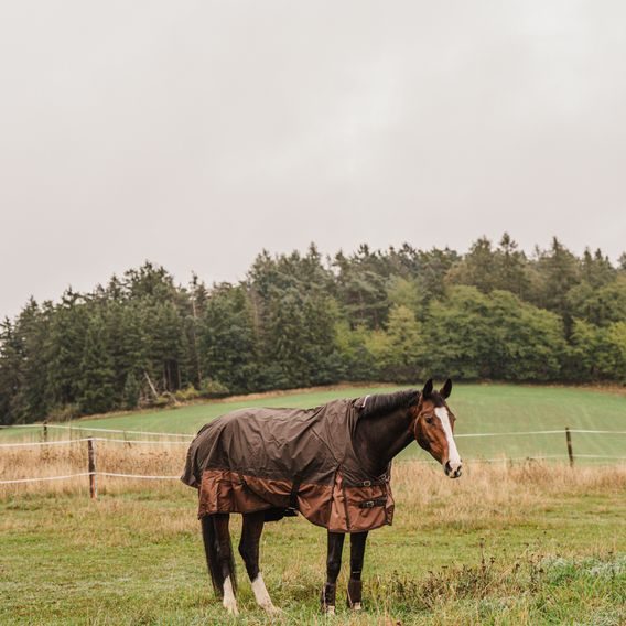 Deka výběhová Imperial PROFI *EQS* High Neck Fleece