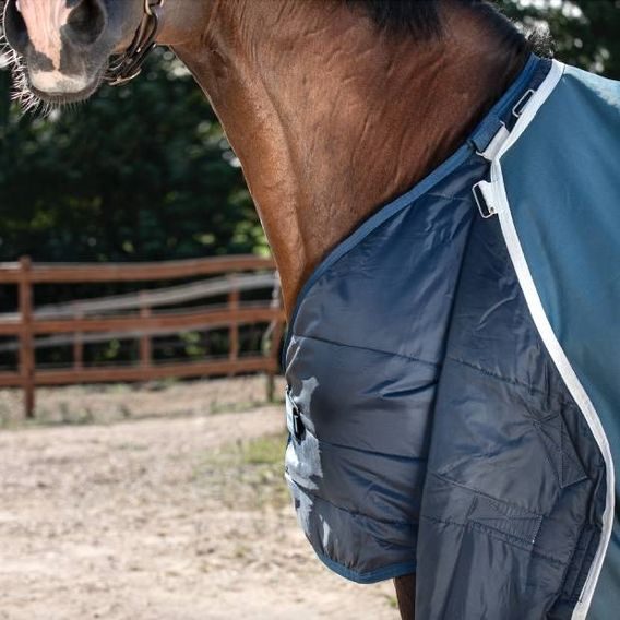 Deka termo výběhová Horseware Amigo AmEco Bravo 12 Plus 100g NA OBJEDNÁVKU