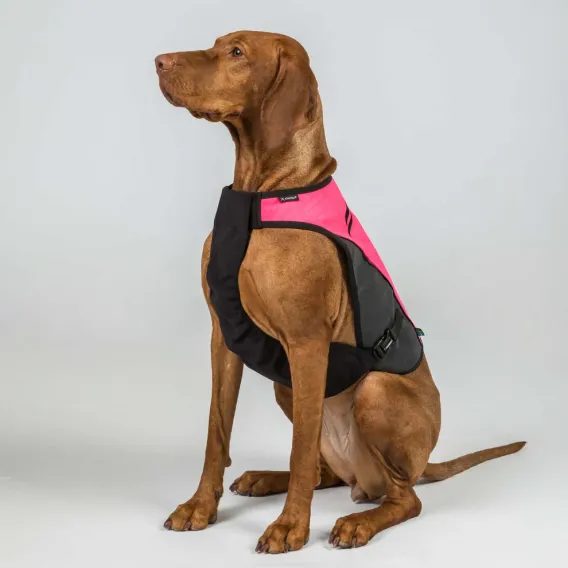 Vesta na psa Back On Track TRAKK 2.0 Visibility Dog Chest Guard 3248