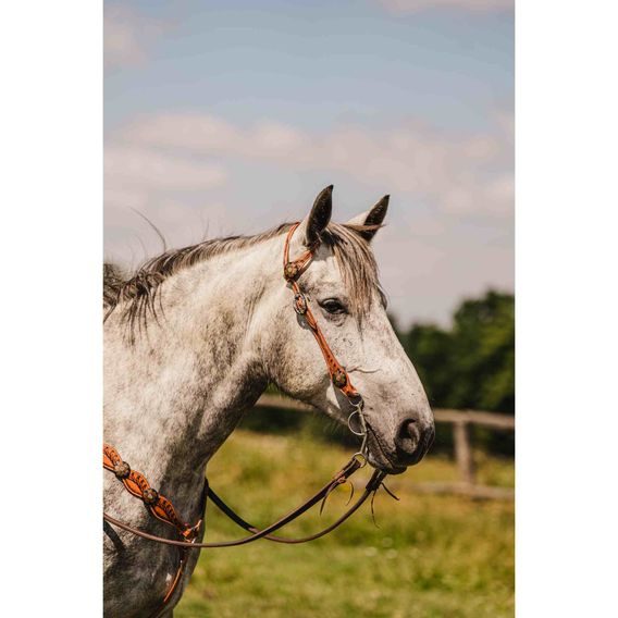 *W* Uzdečka přes jedno ucho a poprsník Cassini Annie