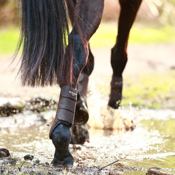 Kamaše Equilibrium Tri-zone Brushing