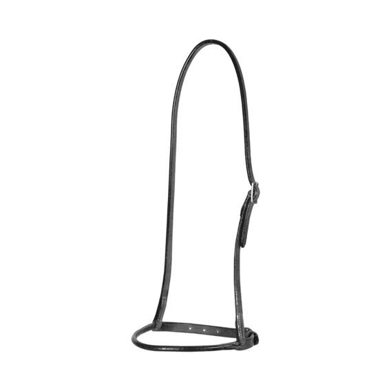 *W* Nánosník Pool's Tondo western DOPRODEJ