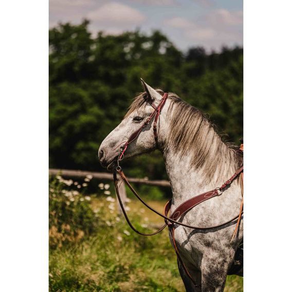 *W* Uzdečka a poprsník Cassini Stitch