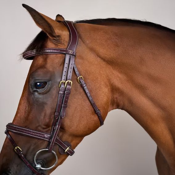 Uzdečka Dy'on Plaited Flash Noseband DYAOAK