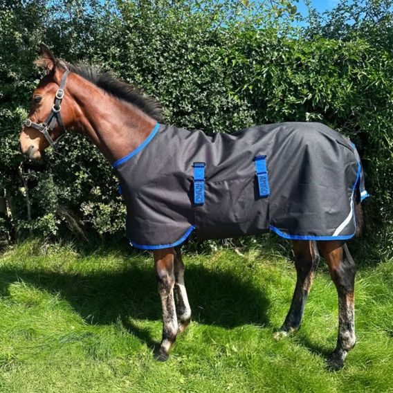 Deka výběhová Horseware Amigo Ripstop 900D 50g hříběcí