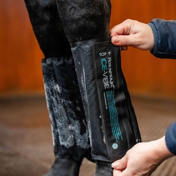 Kamaše Horseware Ice Vibe pár NEW