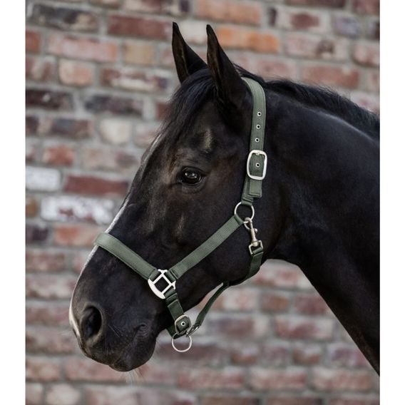 Ohlávka nylon podložená W Satin